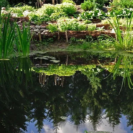 Markowe Siedlisko Węgorzewo