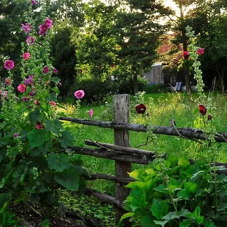 Lantgård Markowe Siedlisko