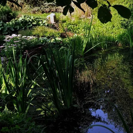 Markowe Siedlisko Węgorzewo