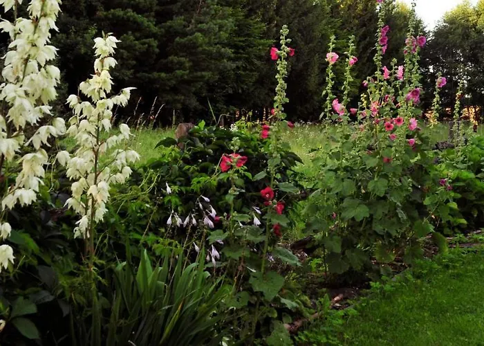 Markowe Siedlisko Gospodarstwo agroturystyczne *