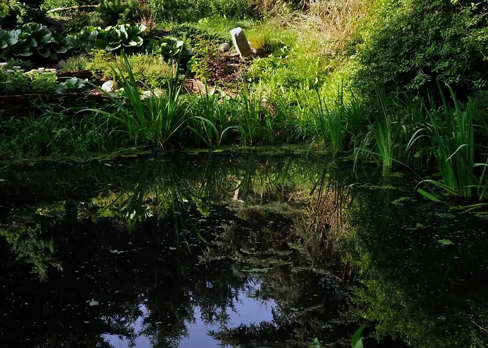 Markowe Siedlisko Węgorzewo